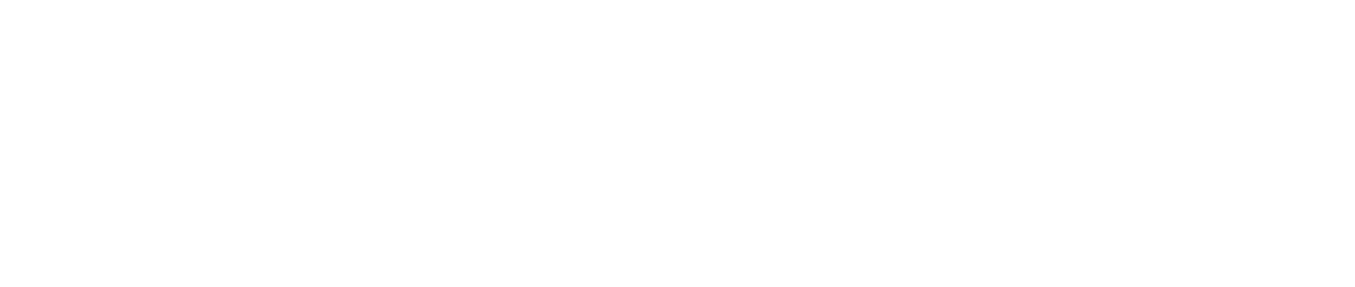 ASC Vision